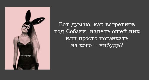 Зая сегодня злая