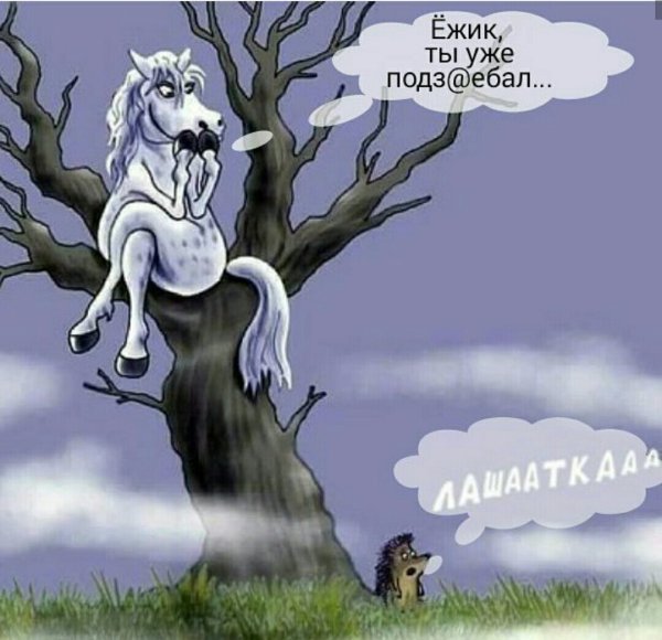 Ежик лошадка