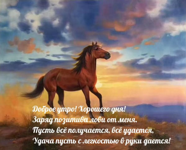 Доброе утро с лошадками
