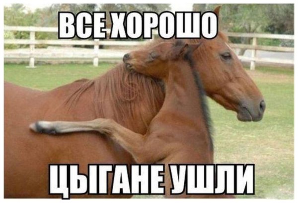 Цыгане прикол