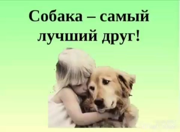Доброе утро, Медвежонок!