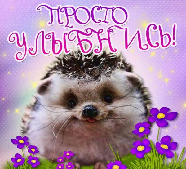 С днем рождения Ежик