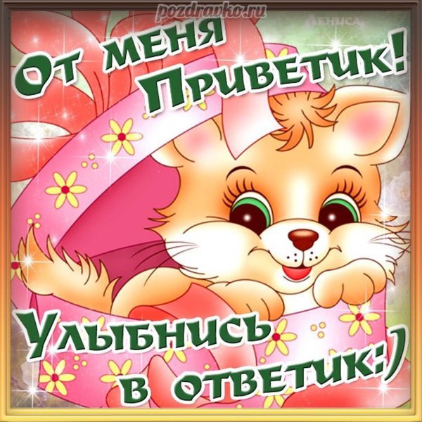 Приветик картинки прикольные