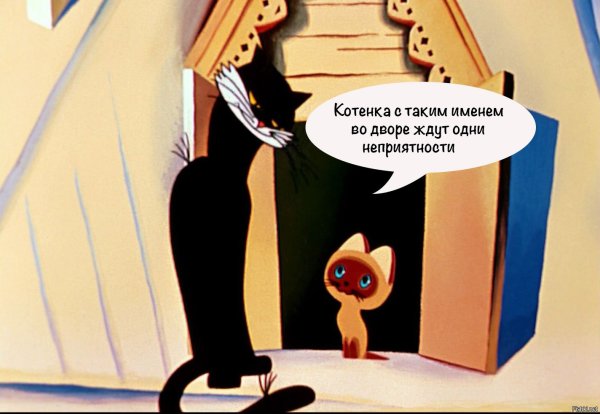 Котенок Гав неприятности