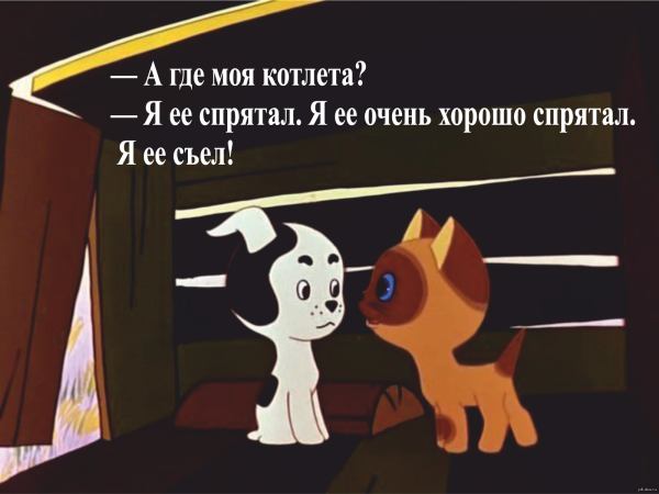 Котенок по имени Гав Вики