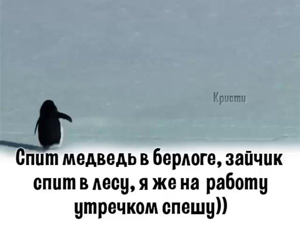 Спит медведь в берлоге зайчик спит в лесу
