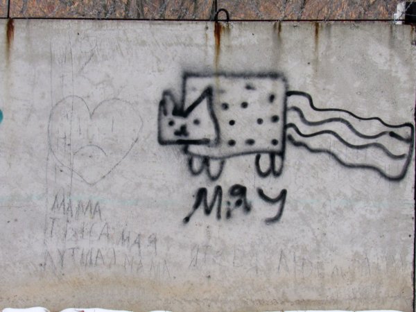 Концептуальные надписи на стенах