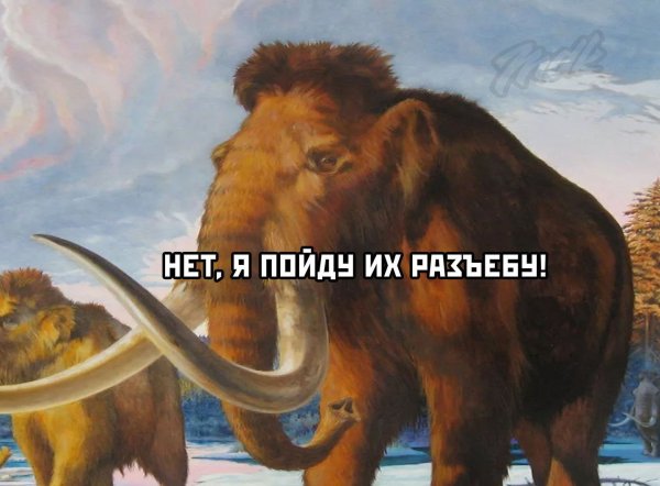 Мамонта Мэнни заскамили