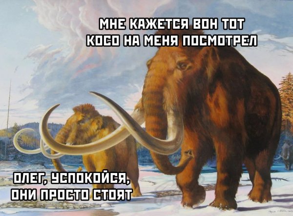 Заскамили Мамонтов