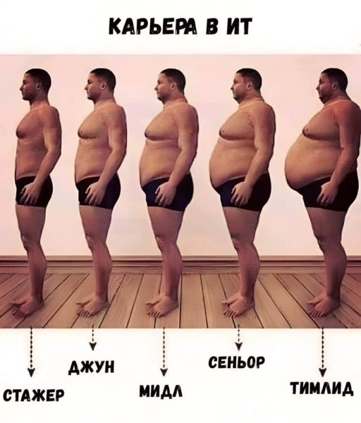 Цитата дня смешная