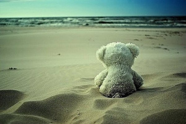 Плюшевый мишка на берегу моря