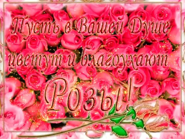 С днем рождения моя прелесть