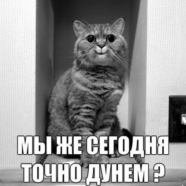 Завтра на работу прикольные