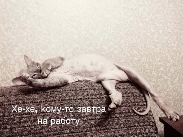Бухаешь небось