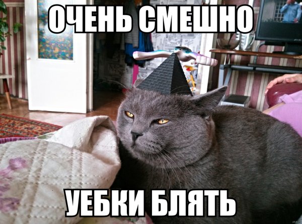 Прикольные картинки девушек с надписями