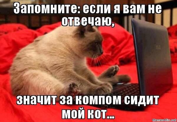 Согласна картинки
