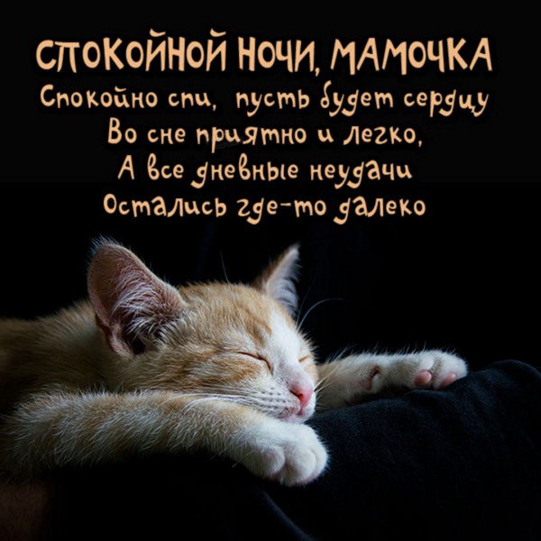 Спокойной ночи мама