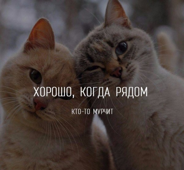 Хорошо когда ты рядом