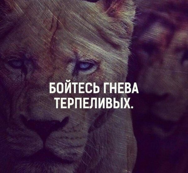 Бойтесь гнева терпеливых