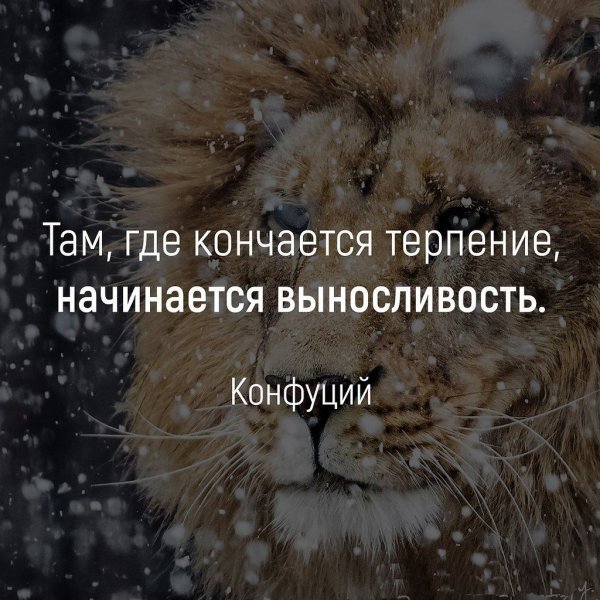 Там где кончается терпение начинается выносливость