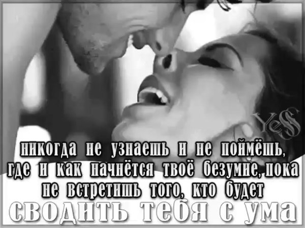 Ты моё безумие