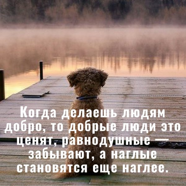 Люди забывают добро цитаты