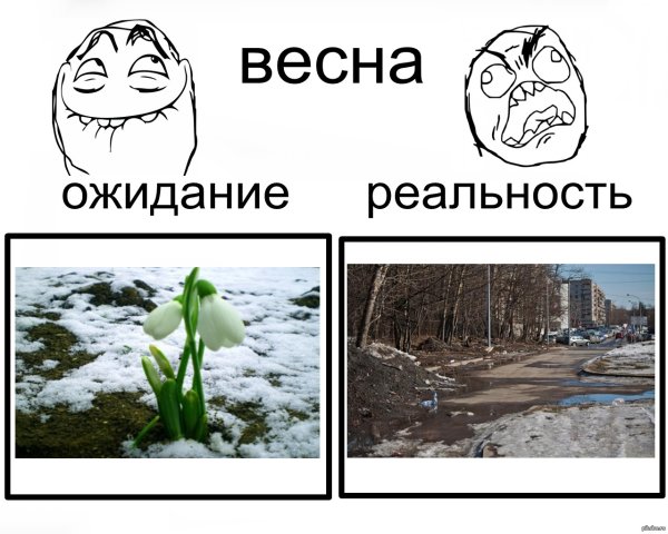 ВСНВ В России реальность