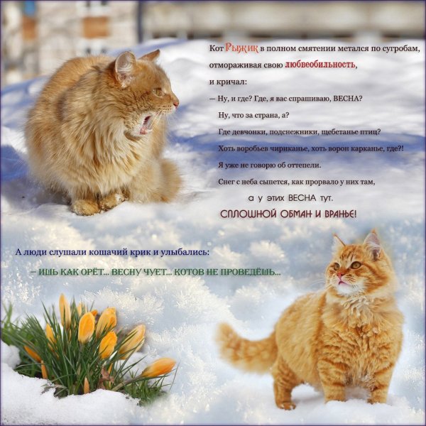 Весна чуть чуть мешает метр снега