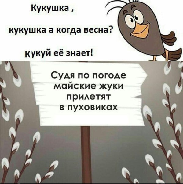 Статусы про зиму