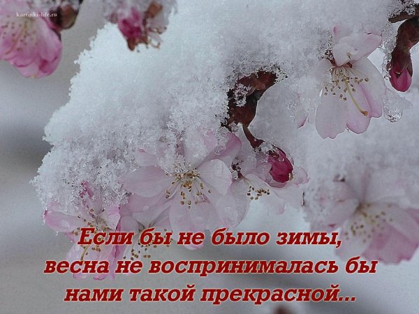 Открытки с намеком