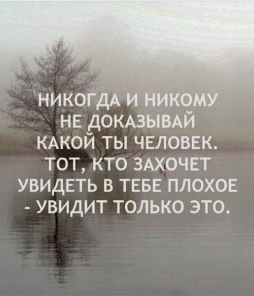 Никогда никому ничего не доказывайте цитаты