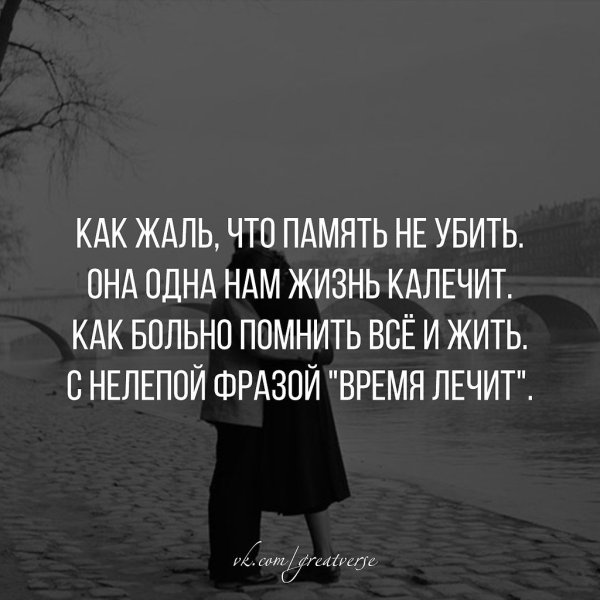 Мне жаль цитаты