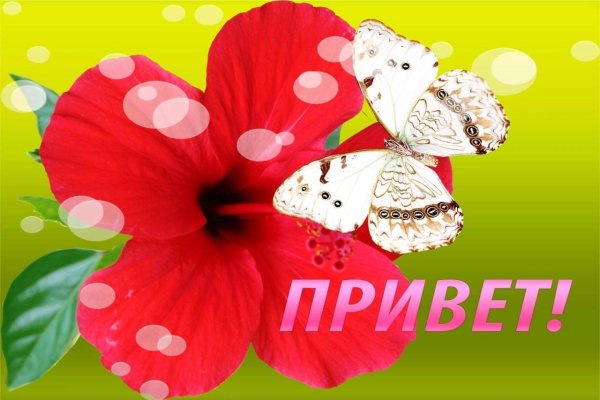 Привет картинки красивые