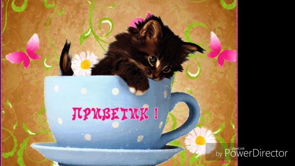 Анимированные открытки приветик