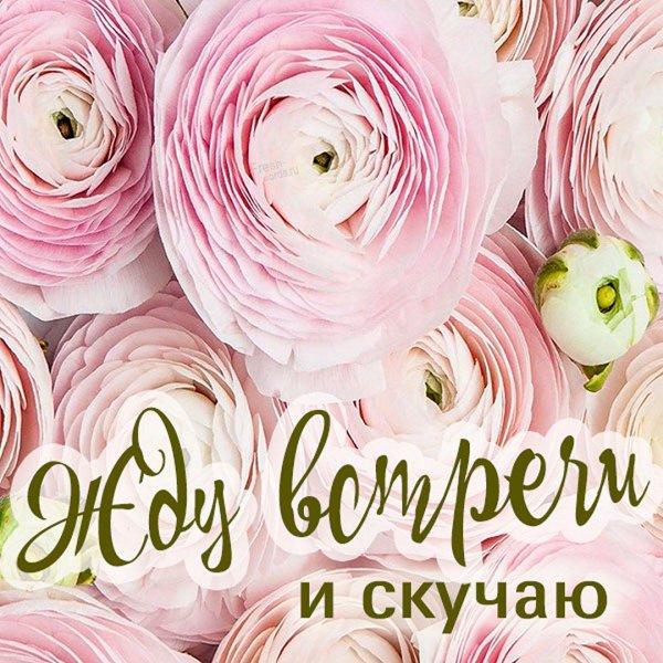 Лукашова Марина Владимировна Самара 14.09.1984