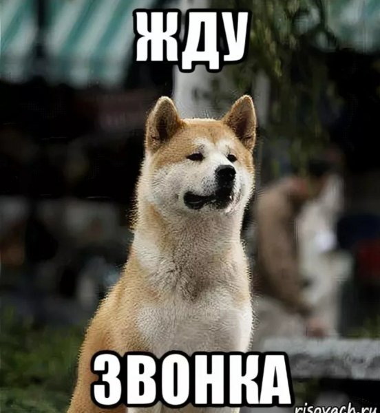 Девушка с чемоданом