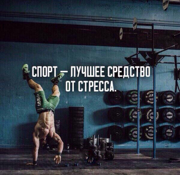 Спортивные цитаты