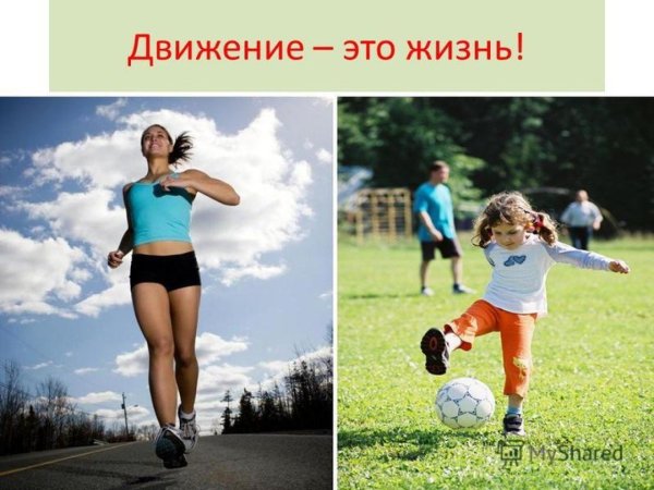 Жизнь в движении