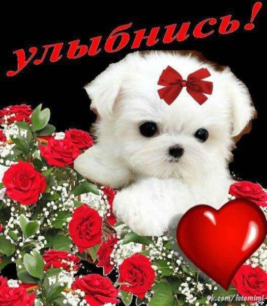 Ты очень милая