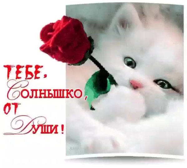 Открытки для любимого человека