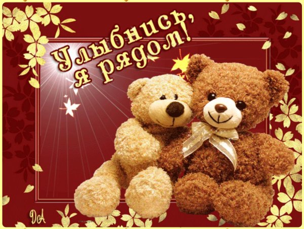 Белая роза среди красных