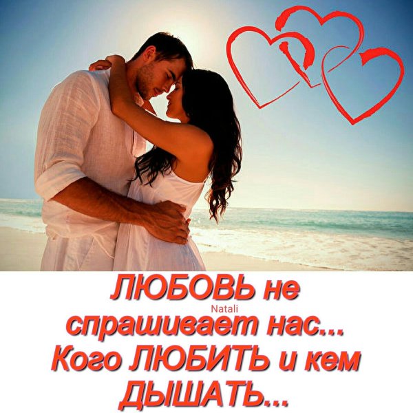 Статусы про любимого