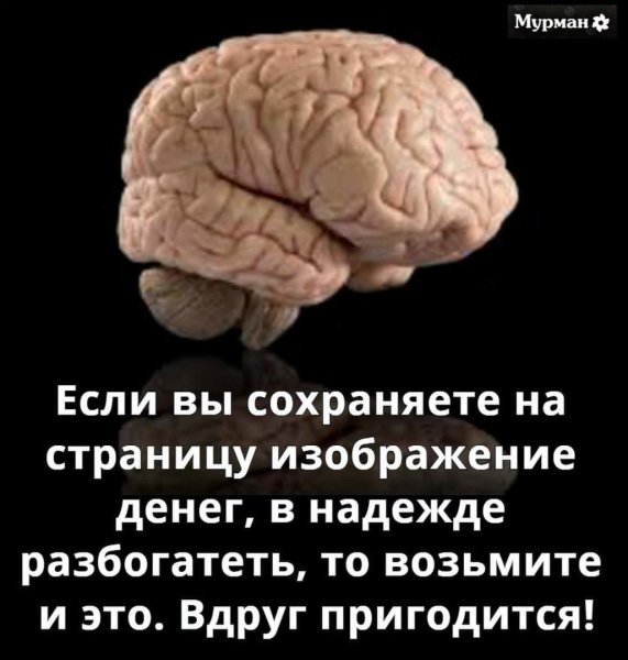 Думают остатками мозга