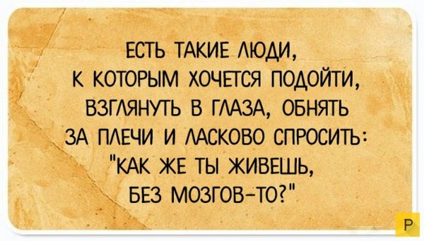 Смешные фразы про мозг