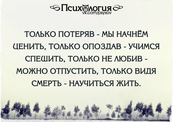 Только потеряв мы начинаем ценить
