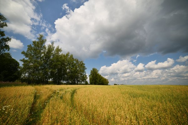 Пейзаж нашей Родины