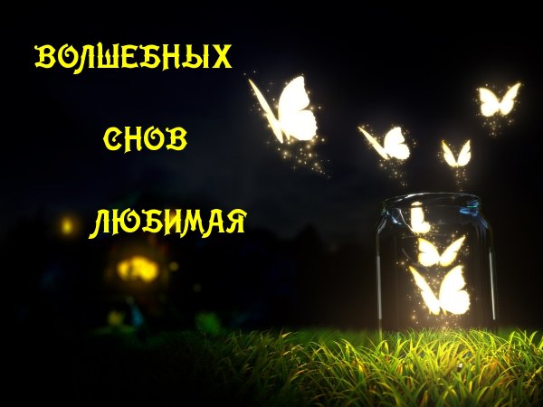 Сладких снов любимая