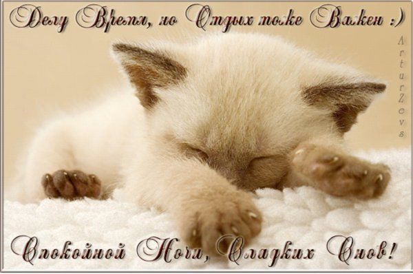 Пожелания спокойной ночи