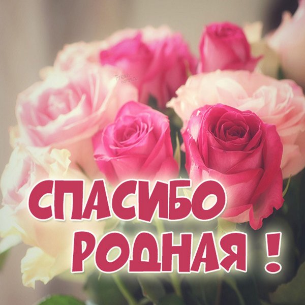 Спасибо дорогие наши женщины