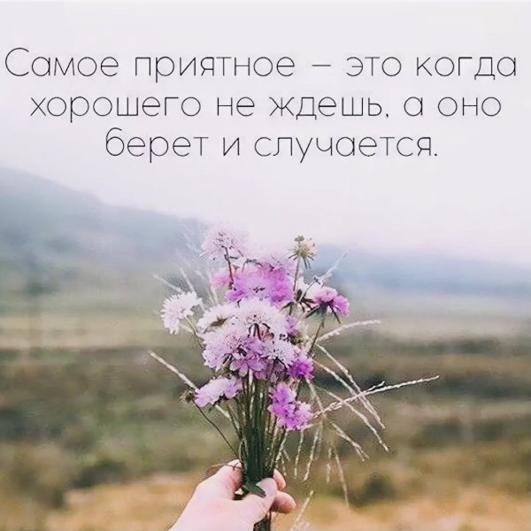 Просто хорошо цитаты